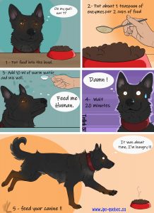 How to feed you IPE dog